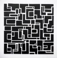img/Labirinti 3/40x40 bianco-nero [640x480].JPG